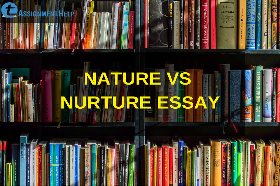 english essay on nature versus nurture
