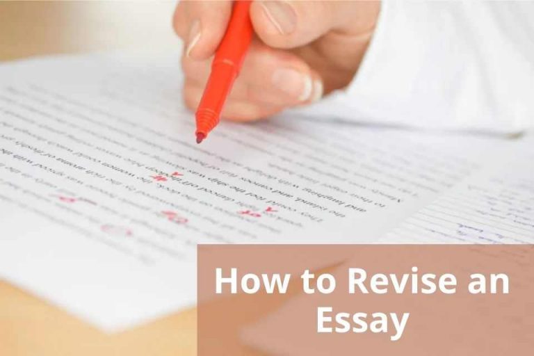 revised essay meaning