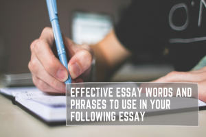 Effective Essay Words and Phrases to use in your following Essay ...