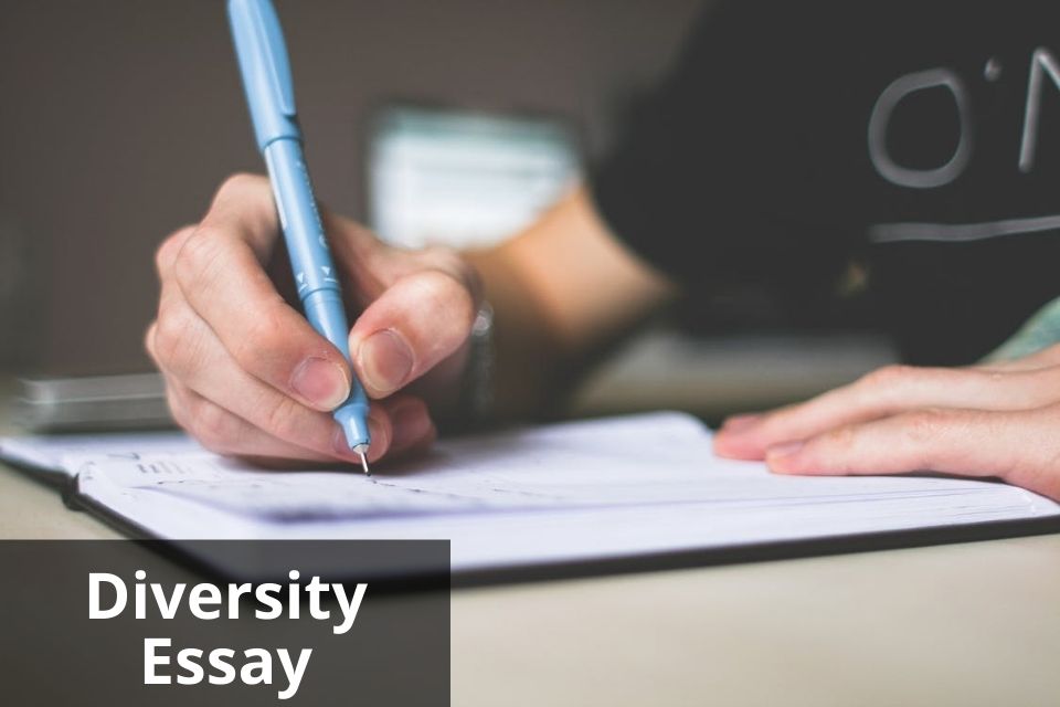 how to write a diversity essay when you're white