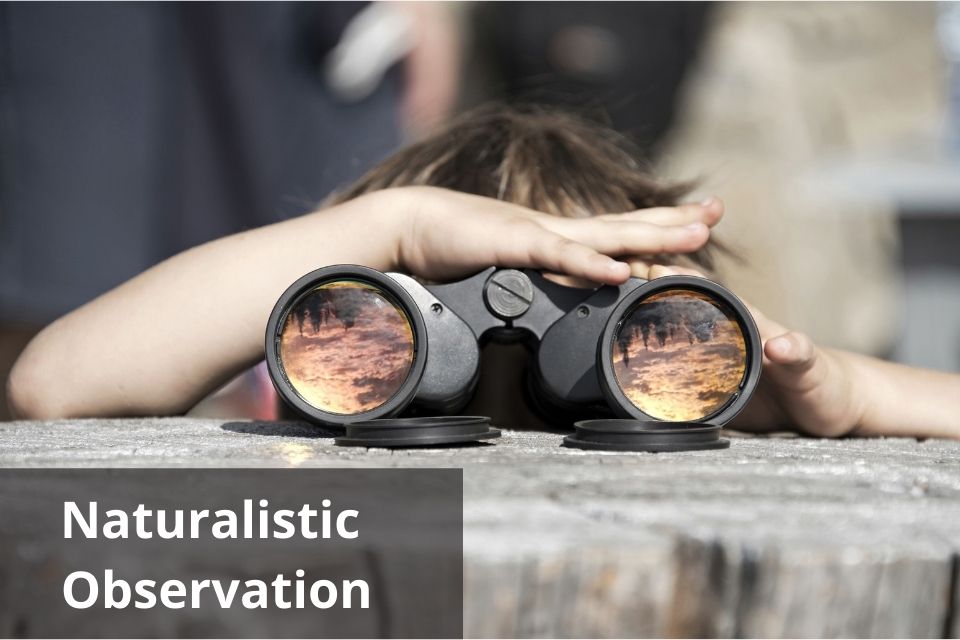 in a naturalistic observation a researcher