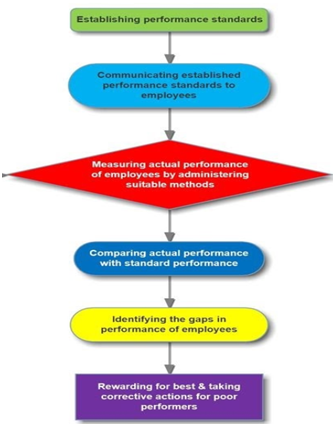 Flowchart-of-selection-process