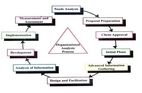 Organizational-Analysisassignment-Organizational-analysis-process