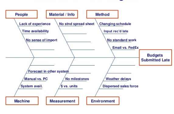 Cause-and-Effect-Diagram-in-Lean-Project-Management-Assignment