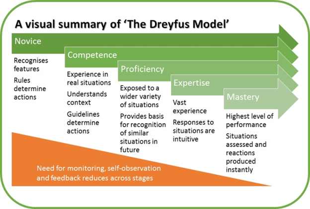 dreyfus model source in project management assignment