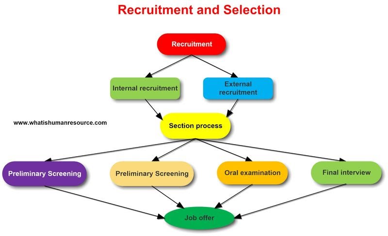 Recruitment and selection презентация