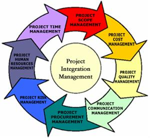 Integration management. Книги Project Management. Мировая практика проектного управления статистика.